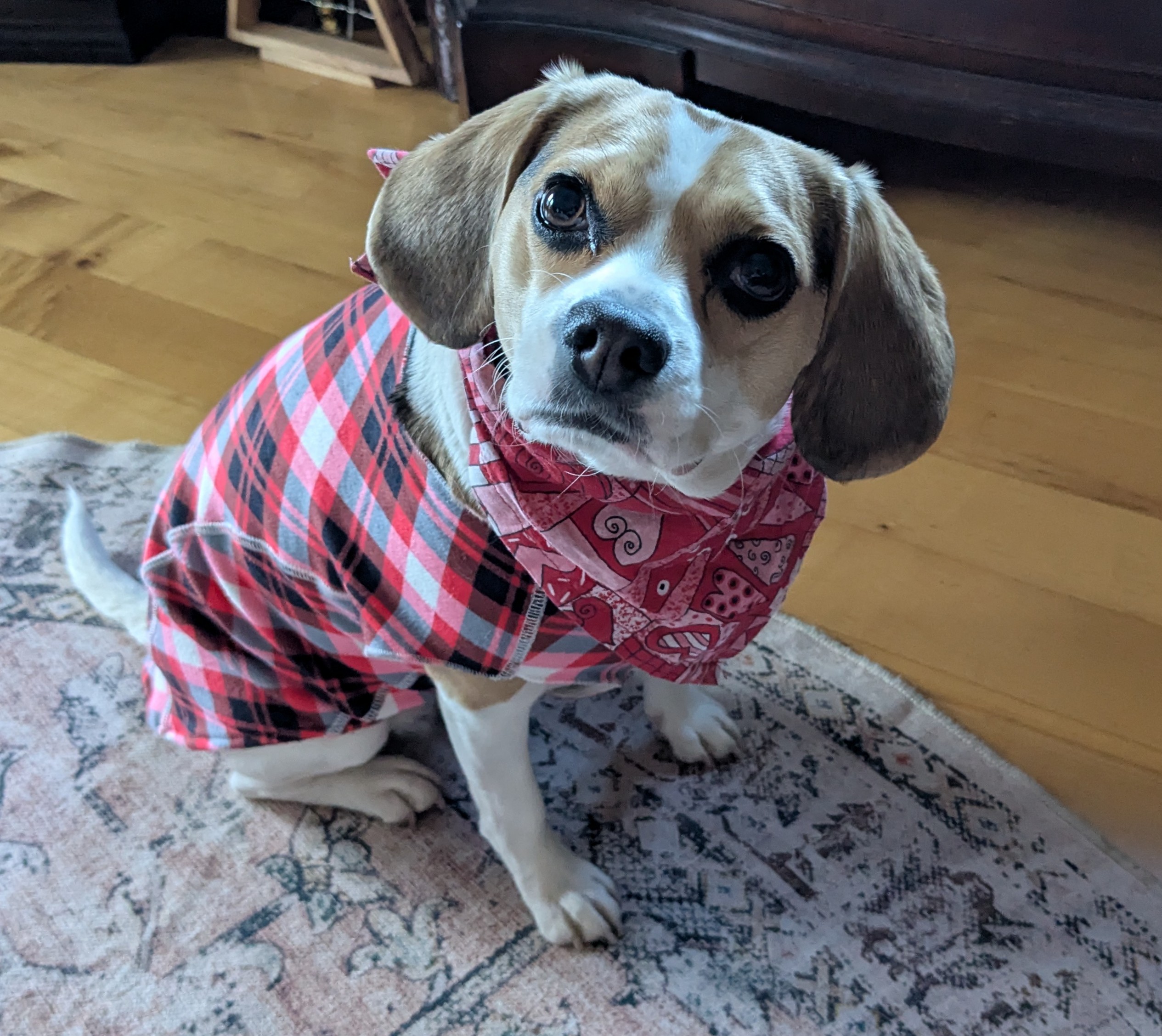 Hip Doggie 4-Way Stretch Fleece Shirt - Red/Plaid - Review Image 1