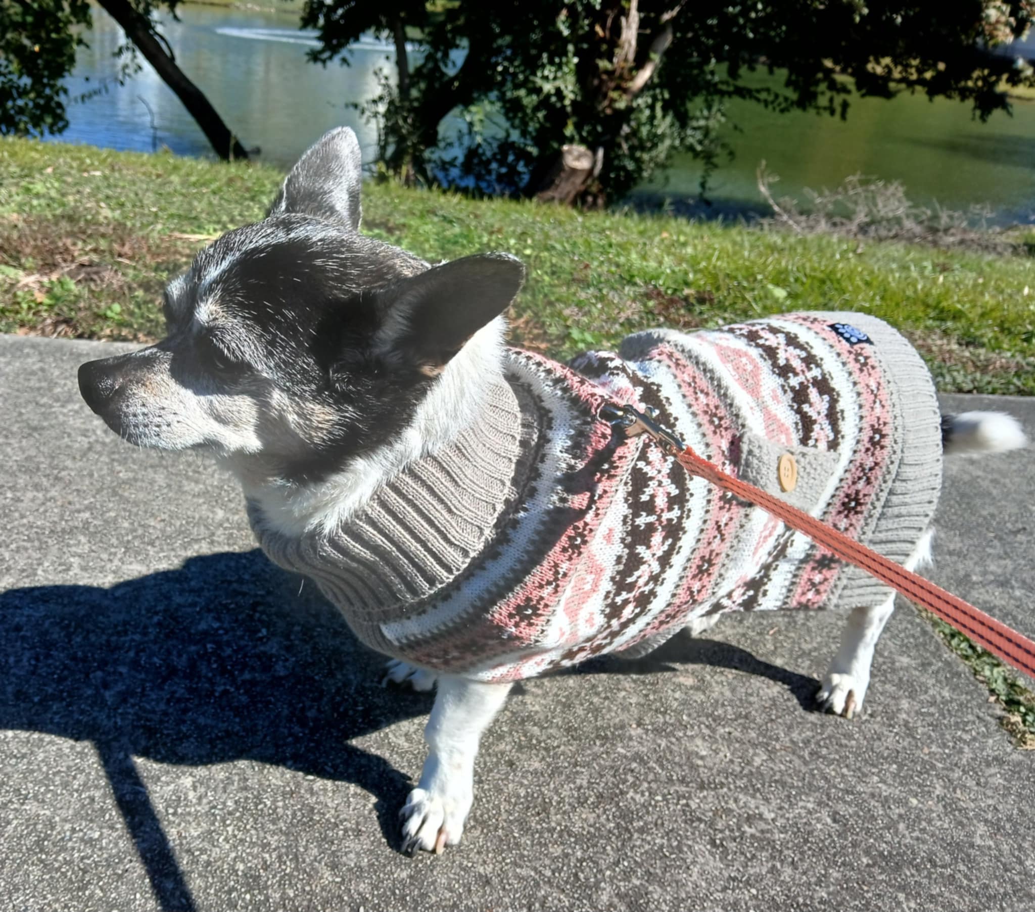 Petrageous Shadow's Fair Isle Dog Sweater - Taupe and Pink - Review Image 1