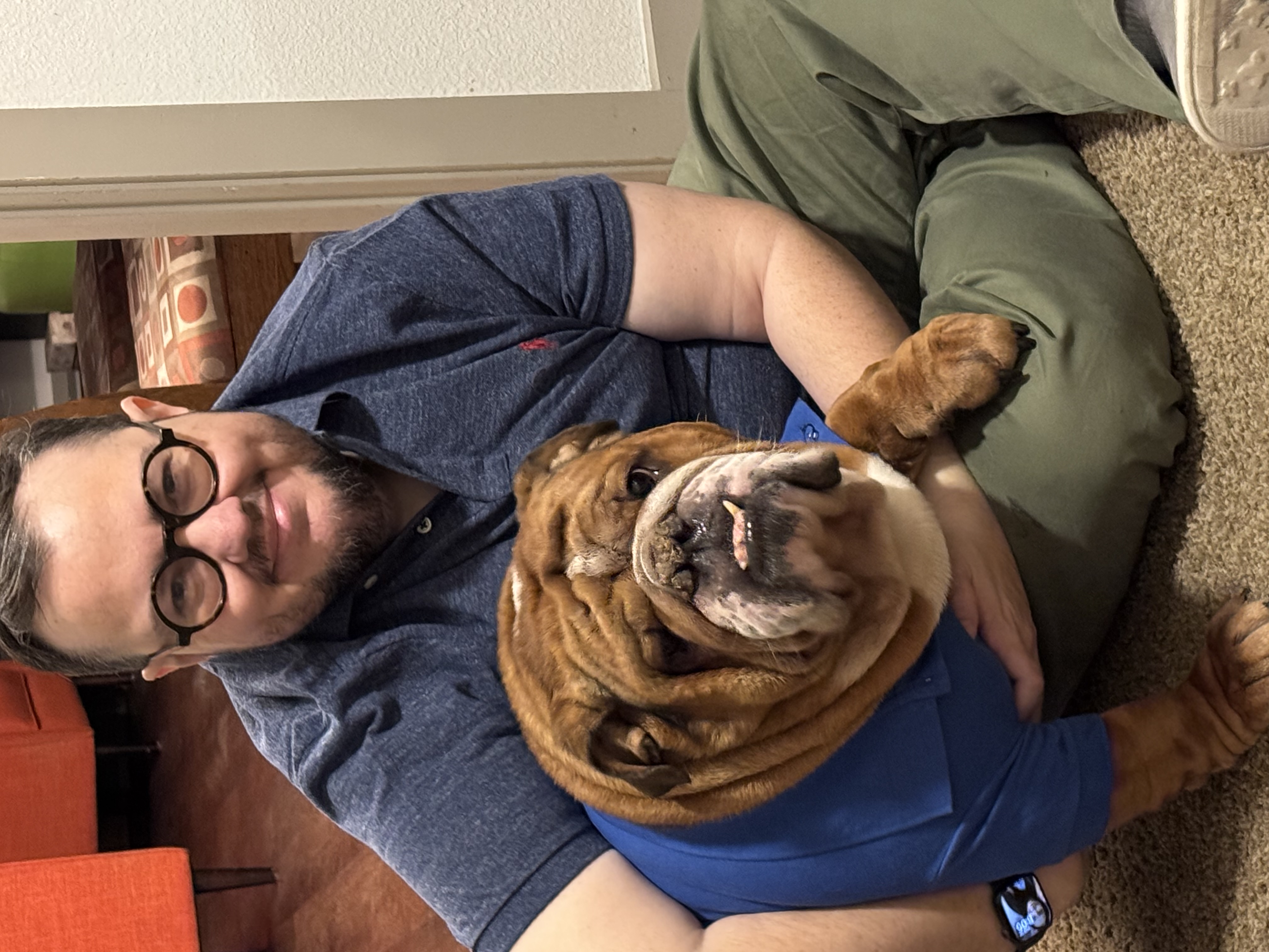 Solid Dog Polo by Doggie Design - Nautical Blue - Review Image 1