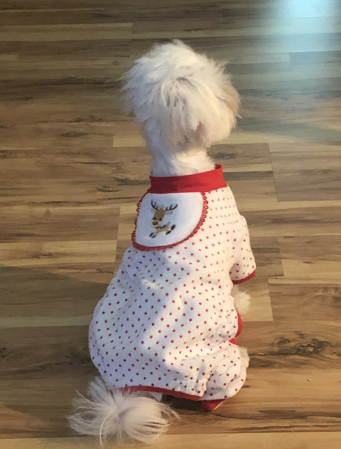 Pooch Outfitters Reindeer Design Dog Pajamas - Red - Review Image 1
