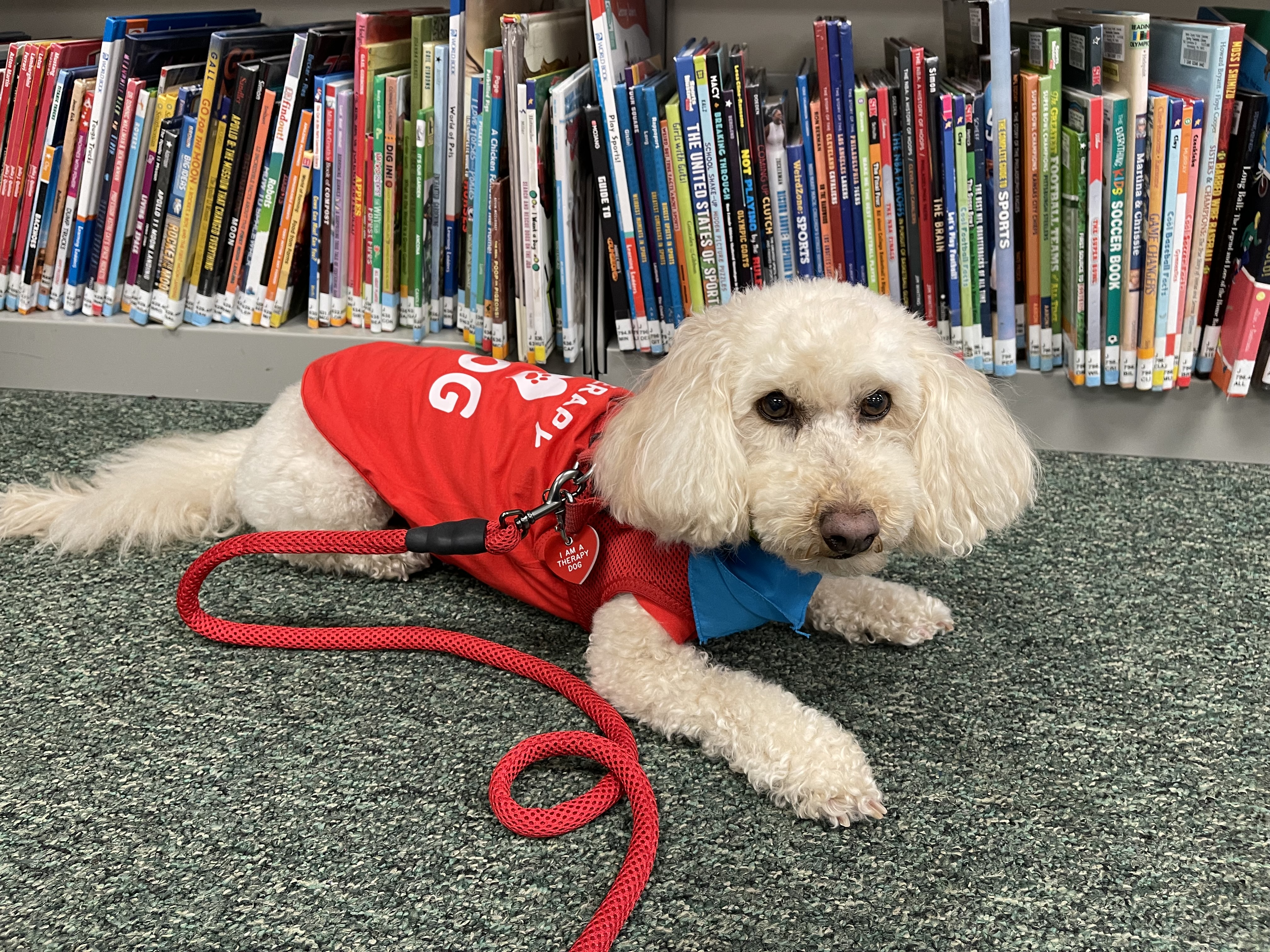 Therapy Dog Shirt - Red - Review Image 1