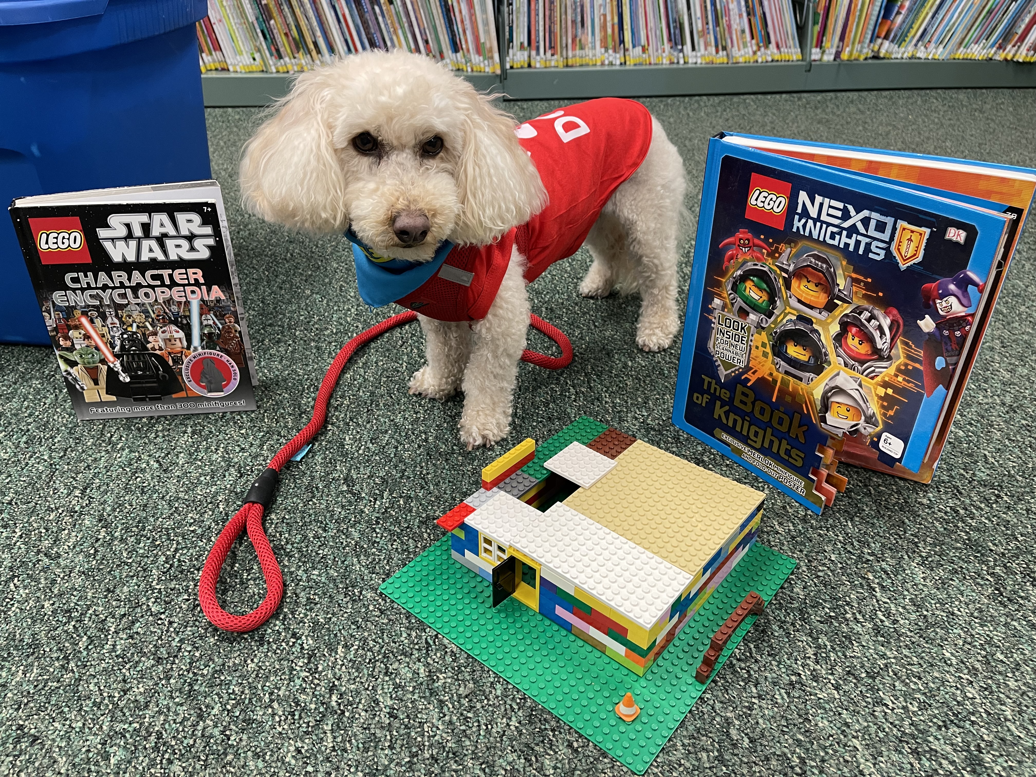 Therapy Dog Shirt - Red - Review Image 2
