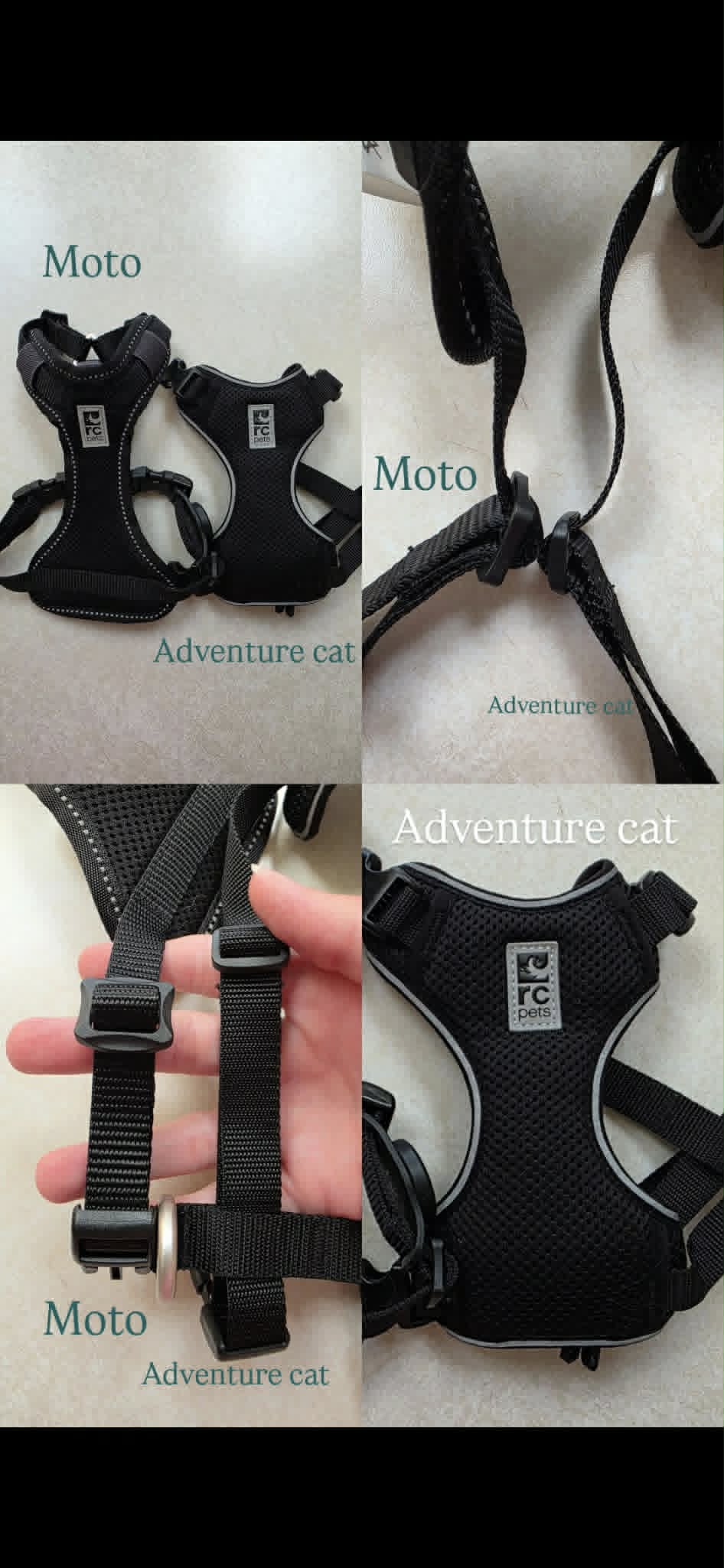 Adventure Kitty Cat Harness with Leash by RC Pets - Raspberry - Review Image 1