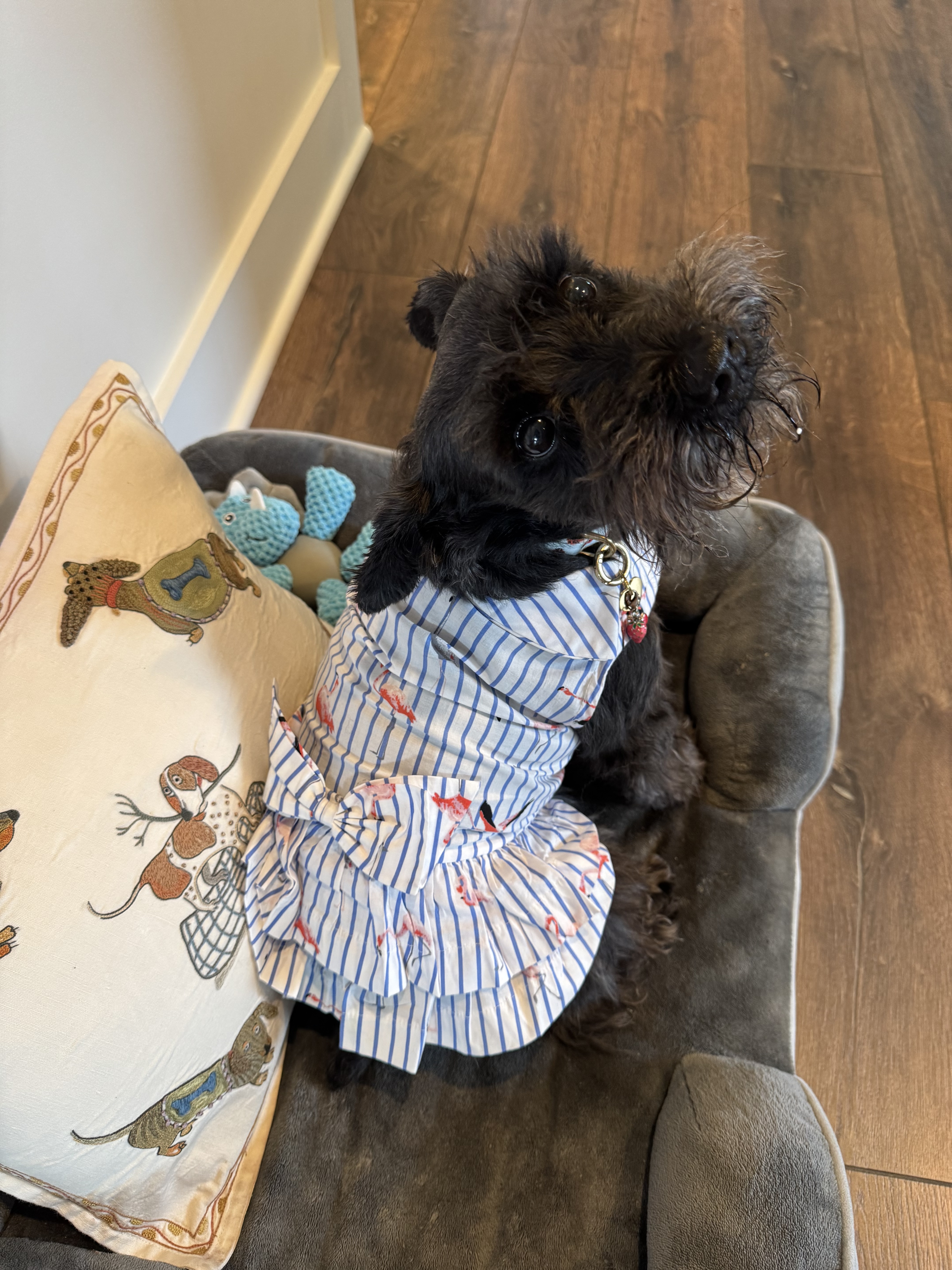 Flamingo Dog Dress by Parisian Pet - Review Image 1