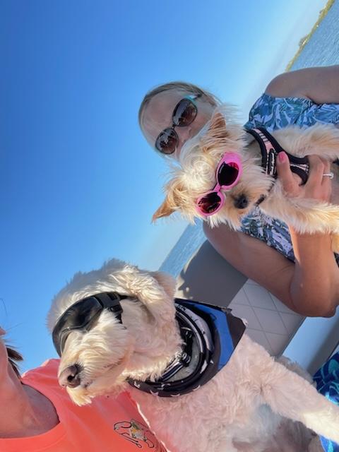 Doggles - ILS2 Pink Frame with Sunset Mirror Lens - Review Image 2