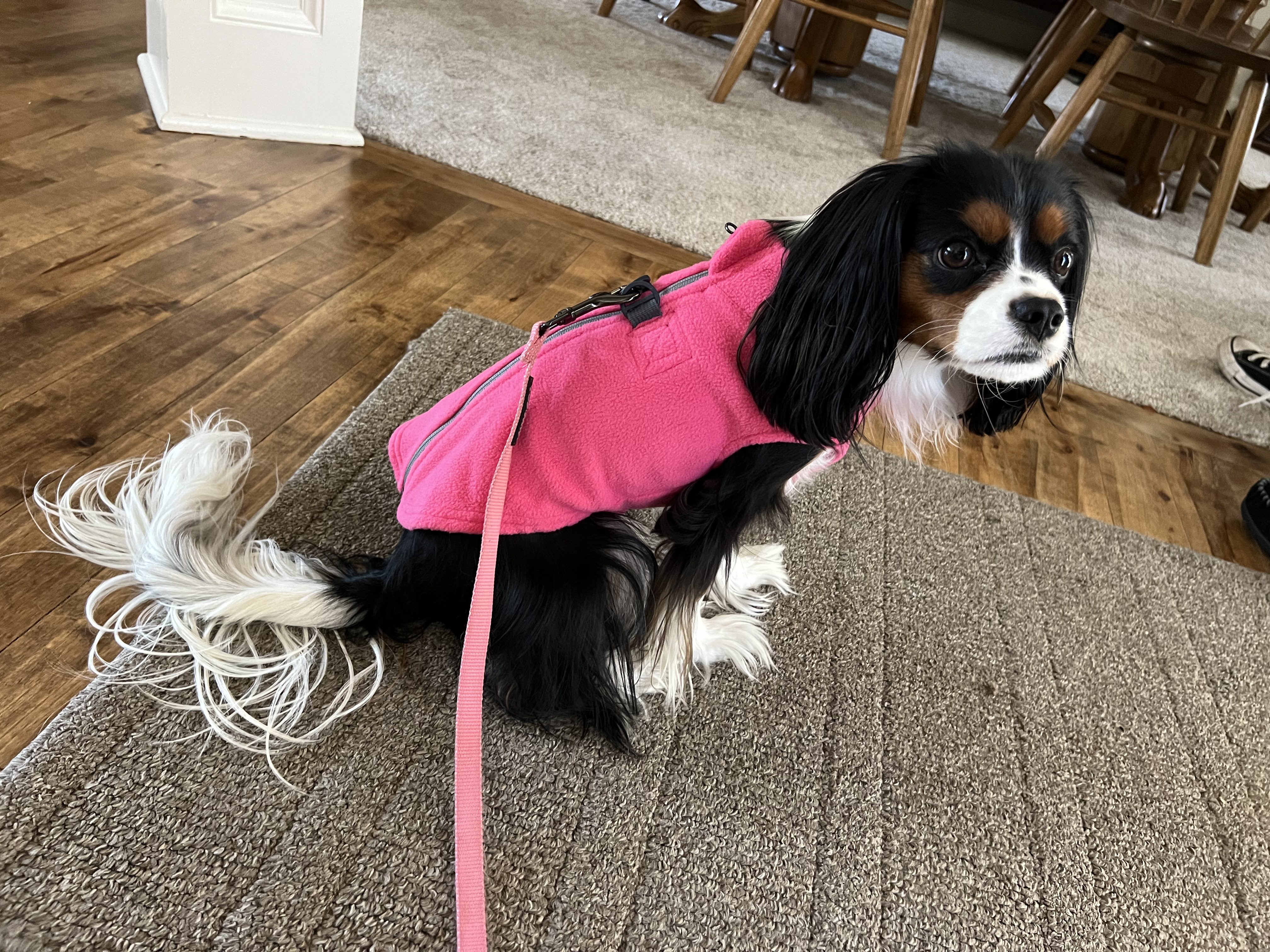 Gooby Zip Up Fleece Dog Vest - Pink - Review Image 1