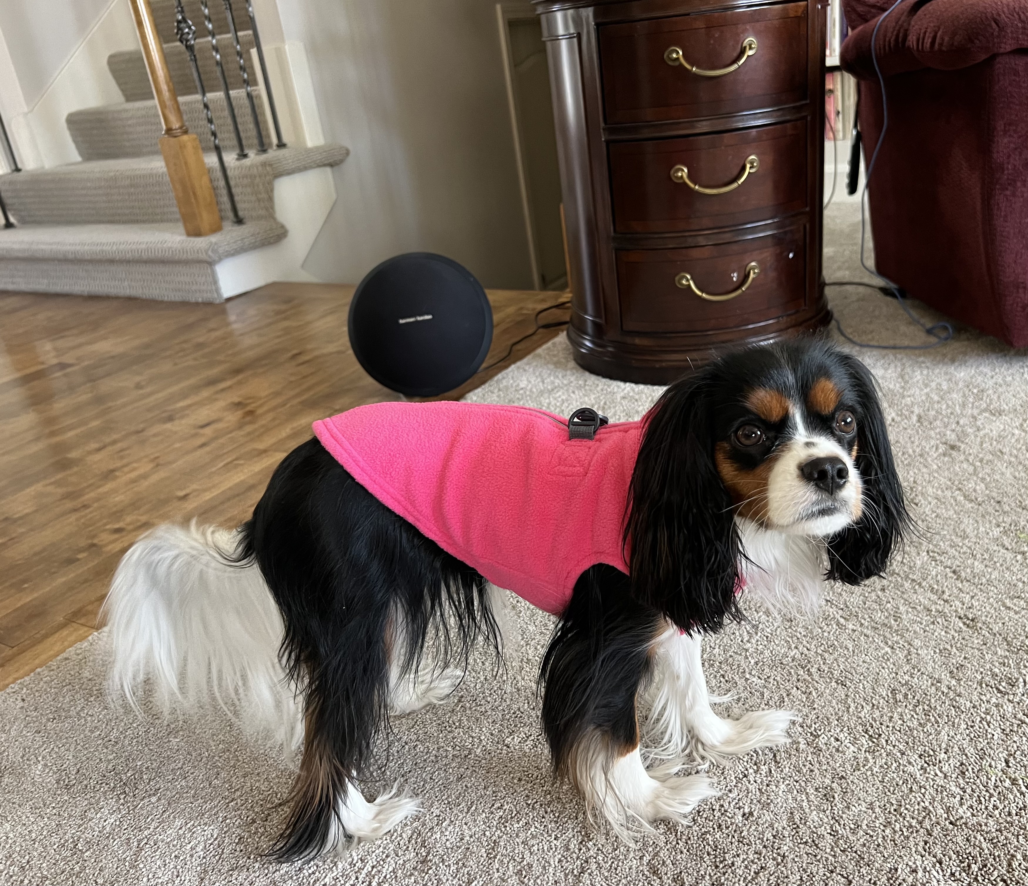Gooby Zip Up Fleece Dog Vest - Pink - Review Image 2