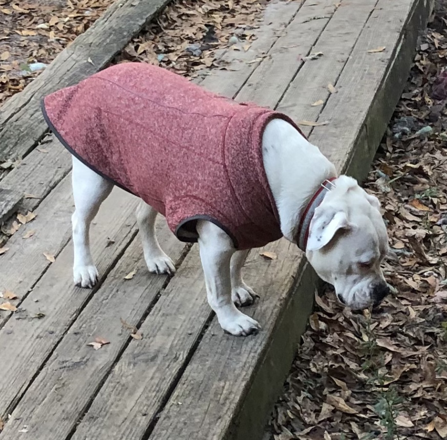 RuffWear Hemp Hound Sweater Dog Jacket - Fired Brick - Review Image 3