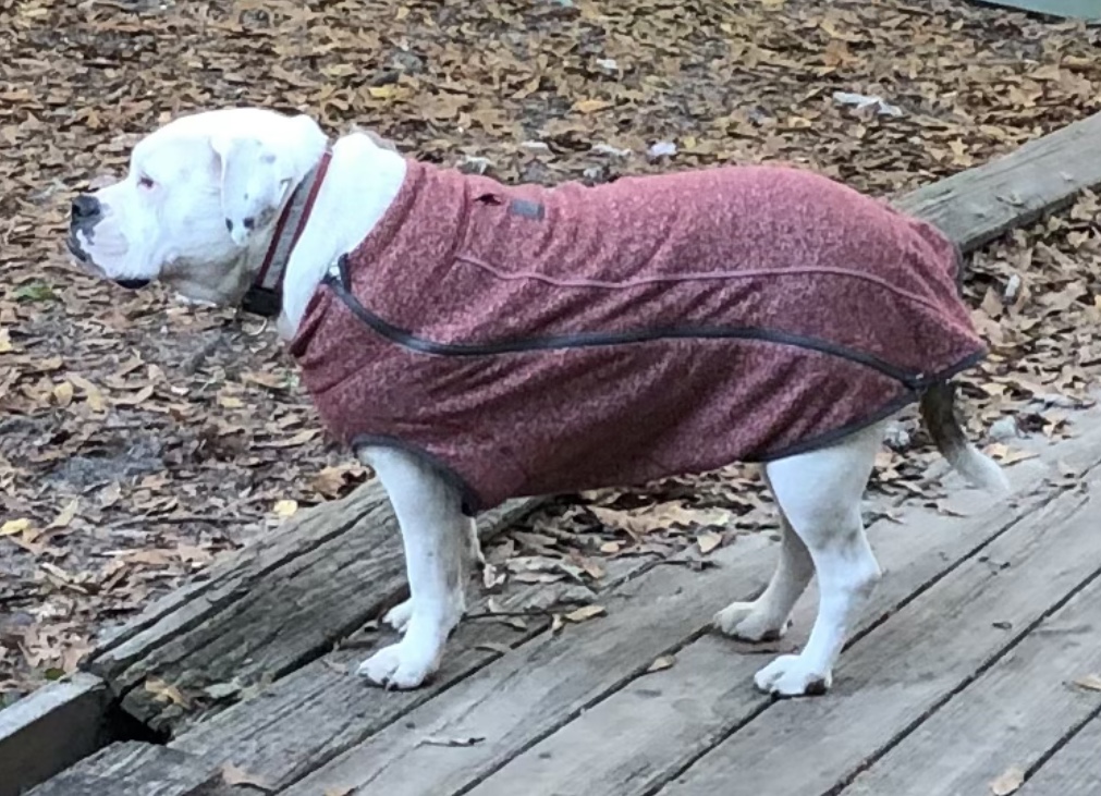 RuffWear Hemp Hound Sweater Dog Jacket - Fired Brick - Review Image 4