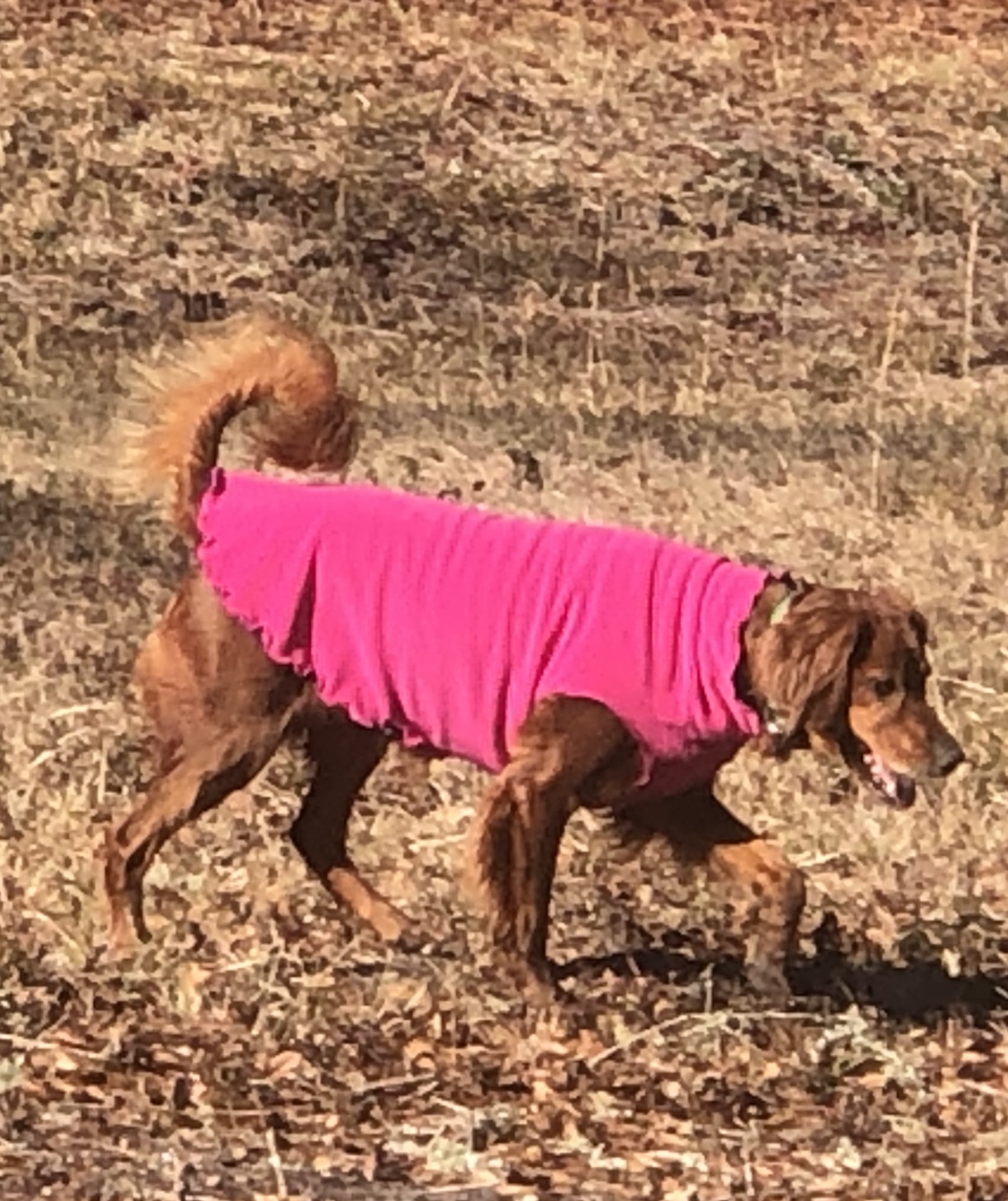 Gold Paw Reversible Double Fleece Dog Jacket - Mulberry Plaid/Fuchsia - Review Image 1