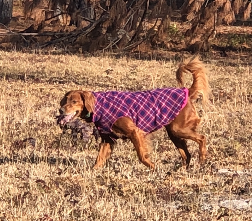 Gold Paw Reversible Double Fleece Dog Jacket - Mulberry Plaid/Fuchsia - Review Image 4