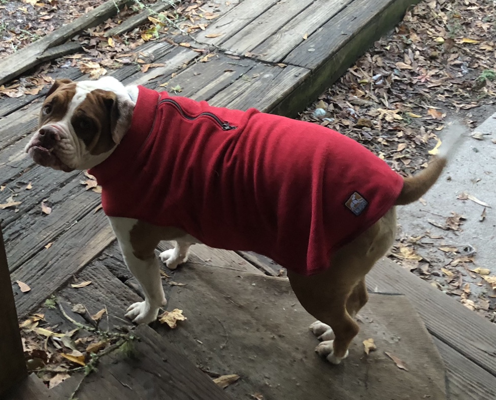 Kurgo K9 Core Dog Sweater - Heather Red - Review Image 1