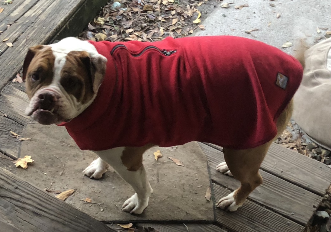 Kurgo K9 Core Dog Sweater - Heather Red - Review Image 2