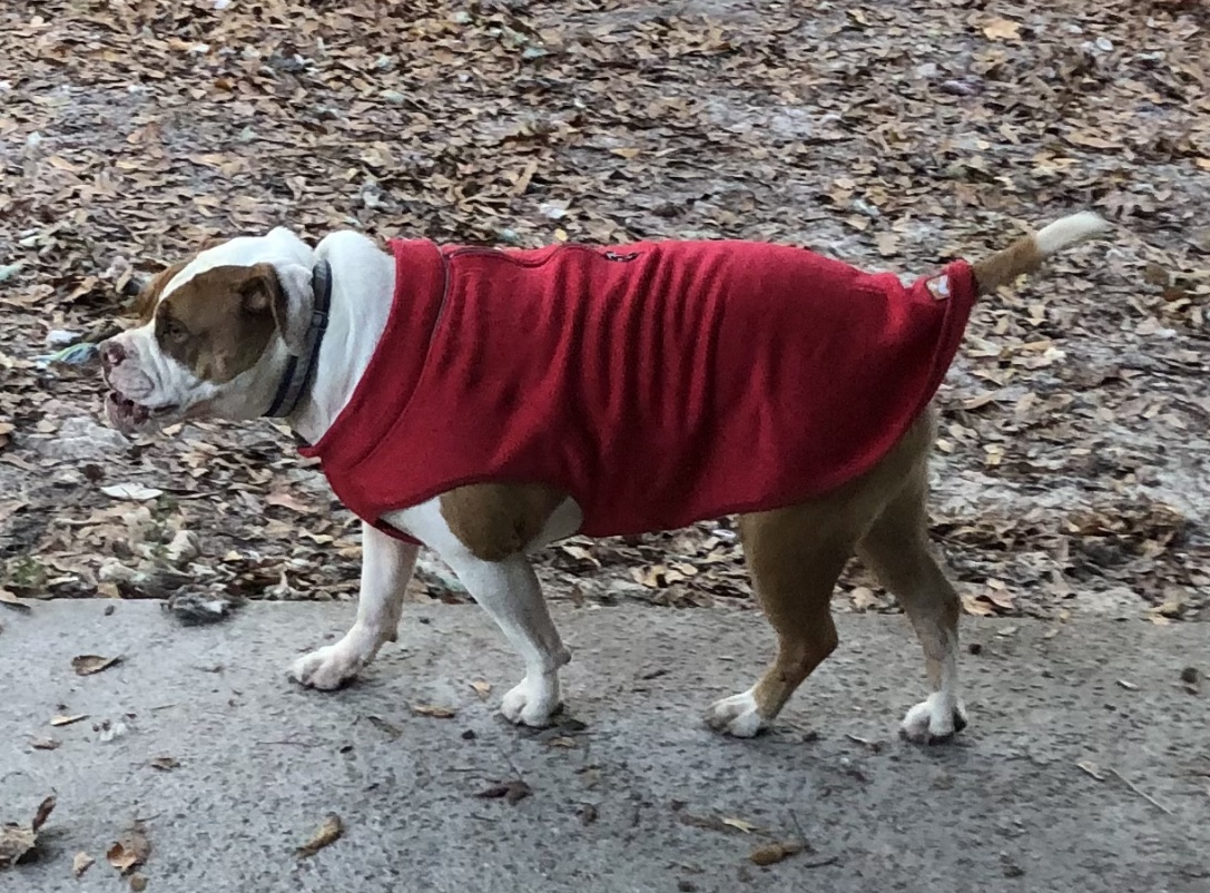 Kurgo K9 Core Dog Sweater - Heather Red - Review Image 3