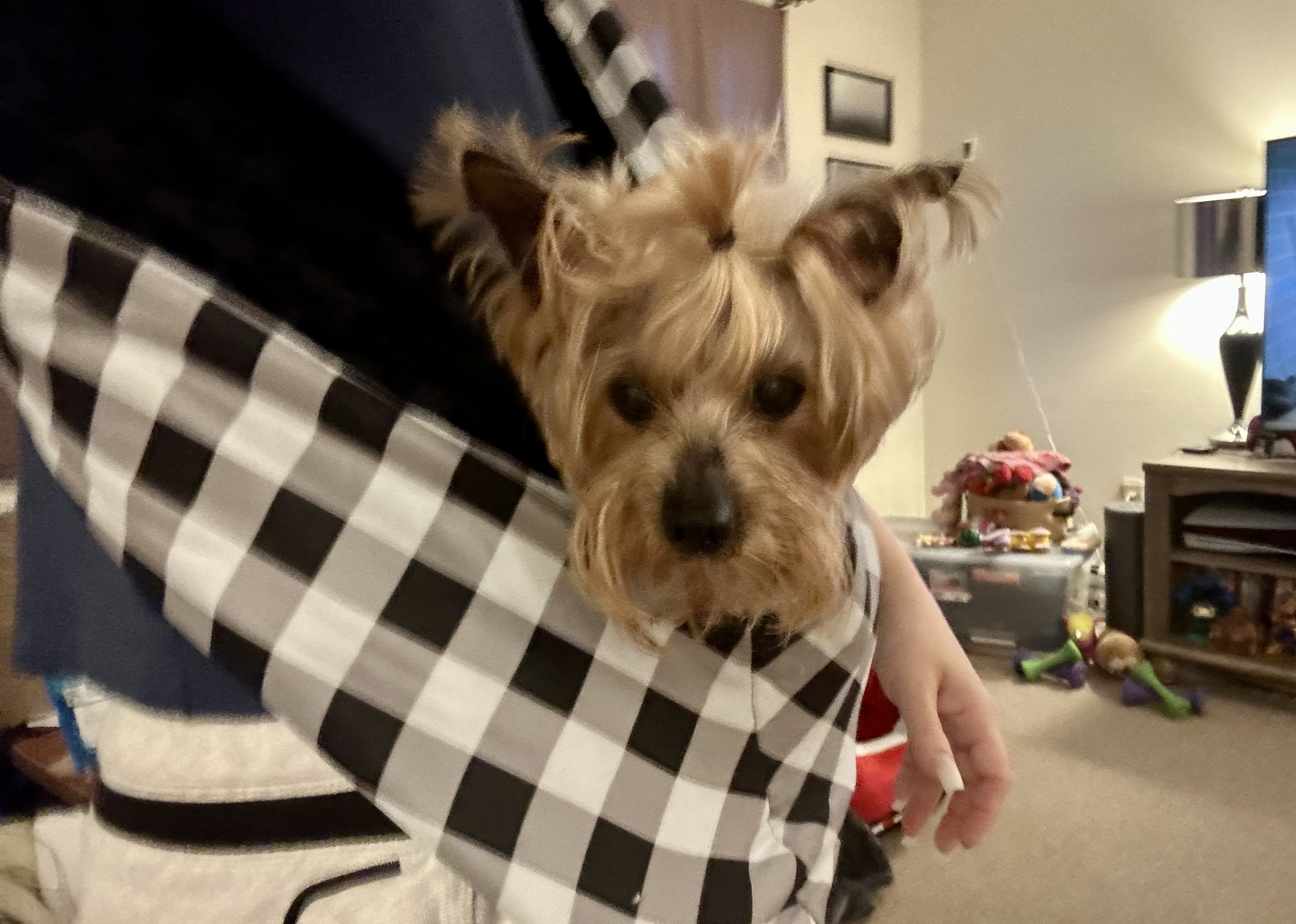 East Side Collection Reversible Sling Dog Carrier - Black Plaid - Review Image 1