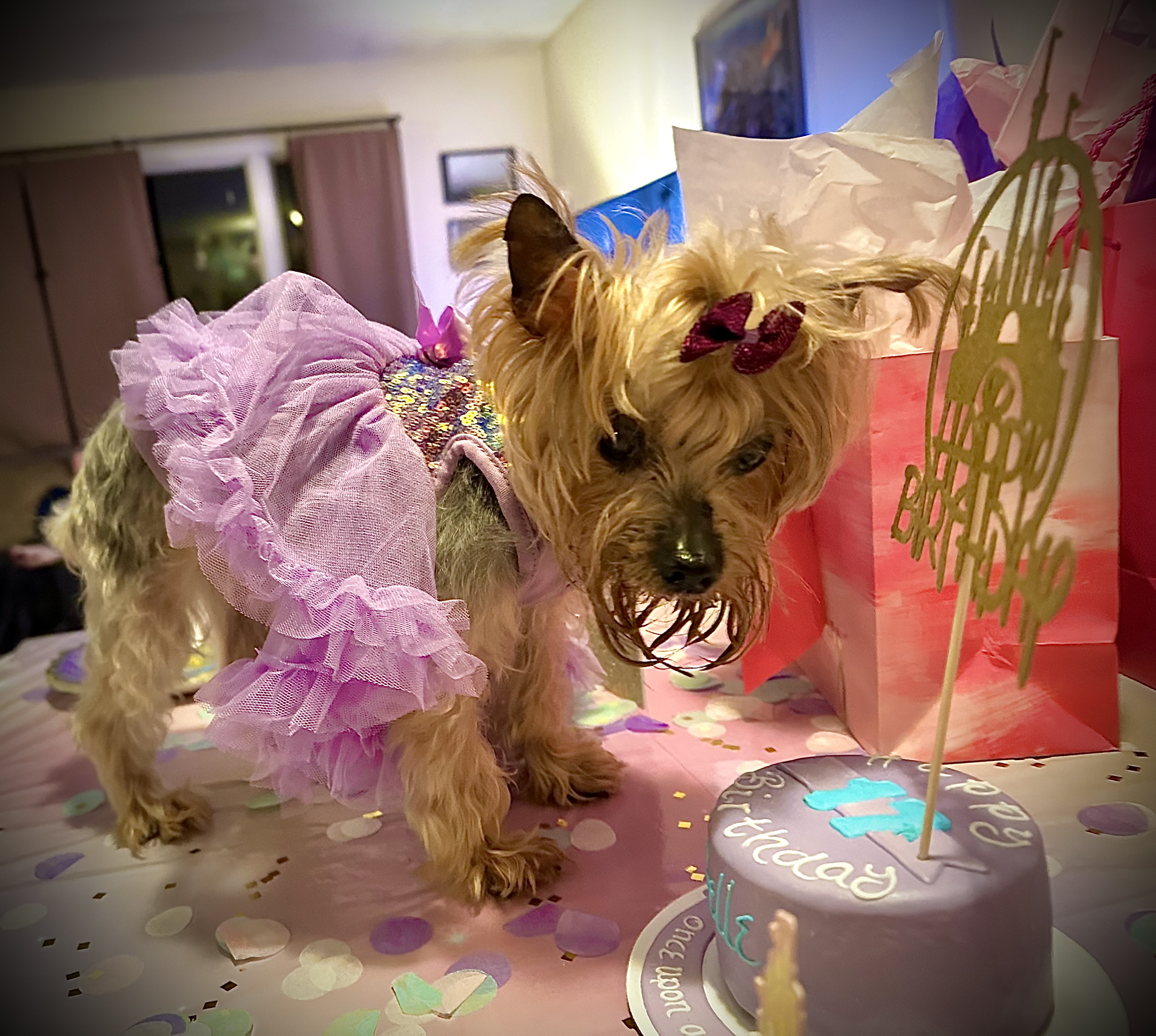 Pawpatu Sequin Dog and Cat Dress - Purple - Review Image 1