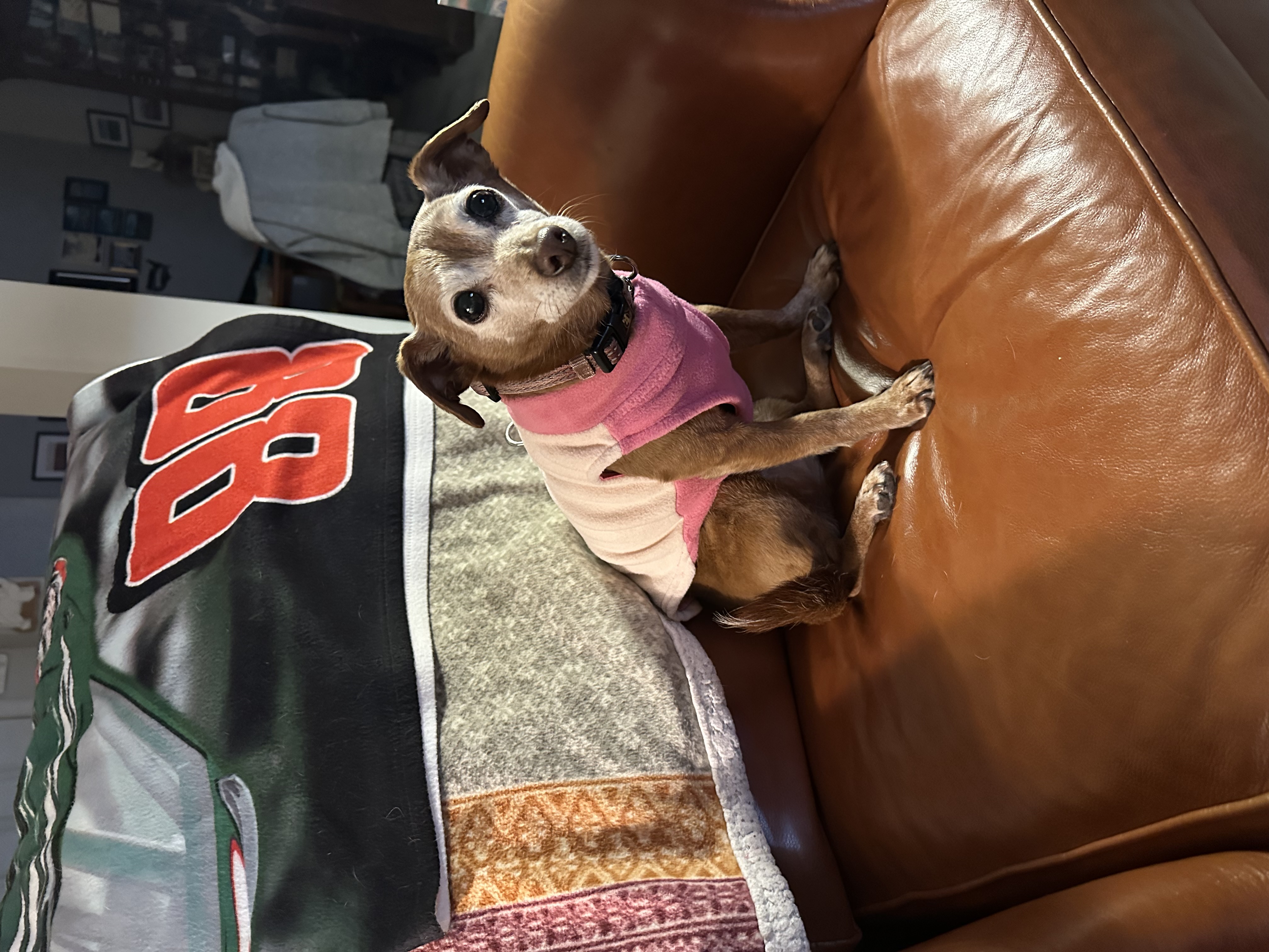 Gooby Half Stretch Fleece Dog Vest - Peach - Review Image 1