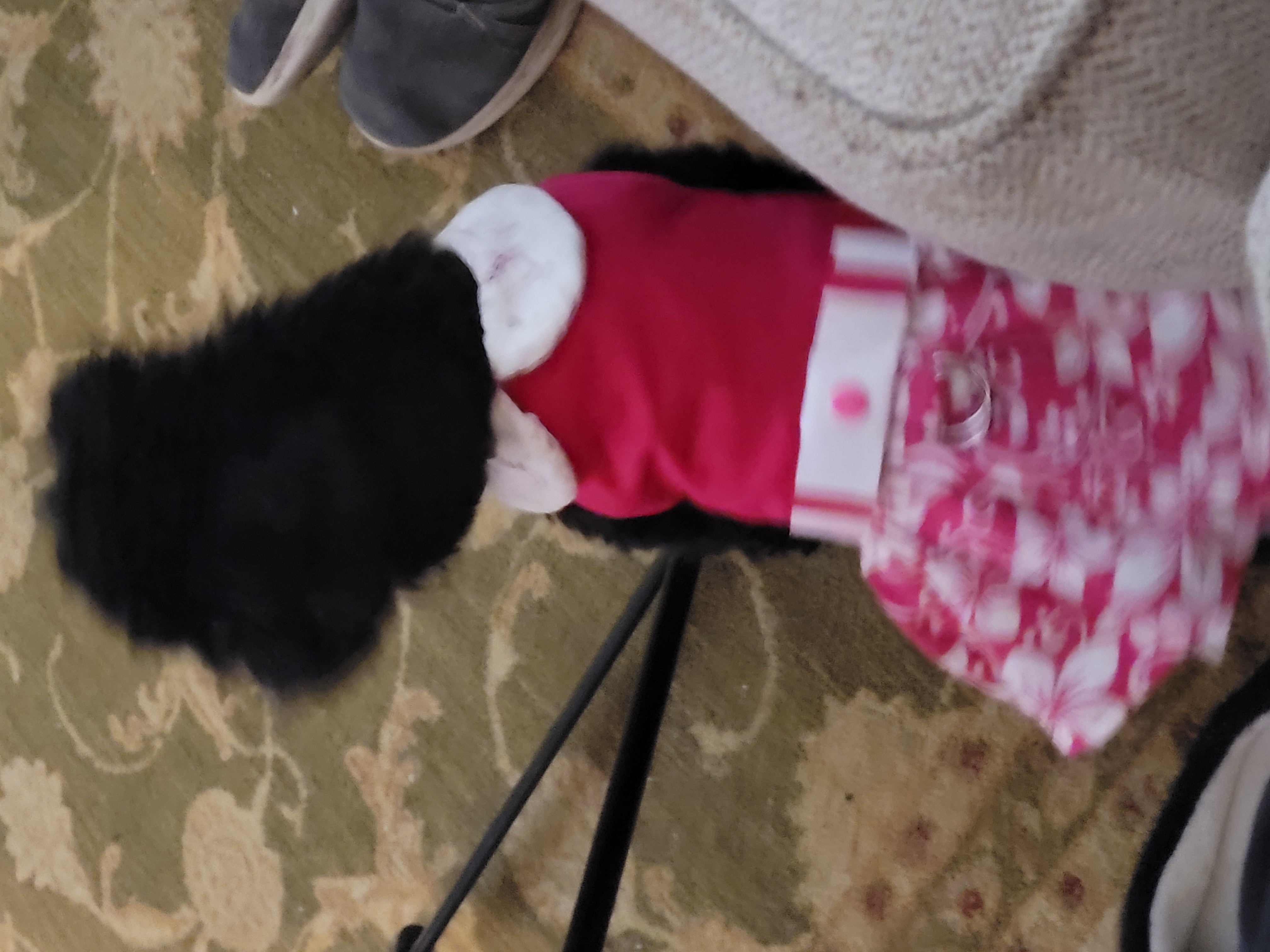 Pink Hibiscus Dog Harness Dress with Matching Leash by Doggie Design - Review Image 1