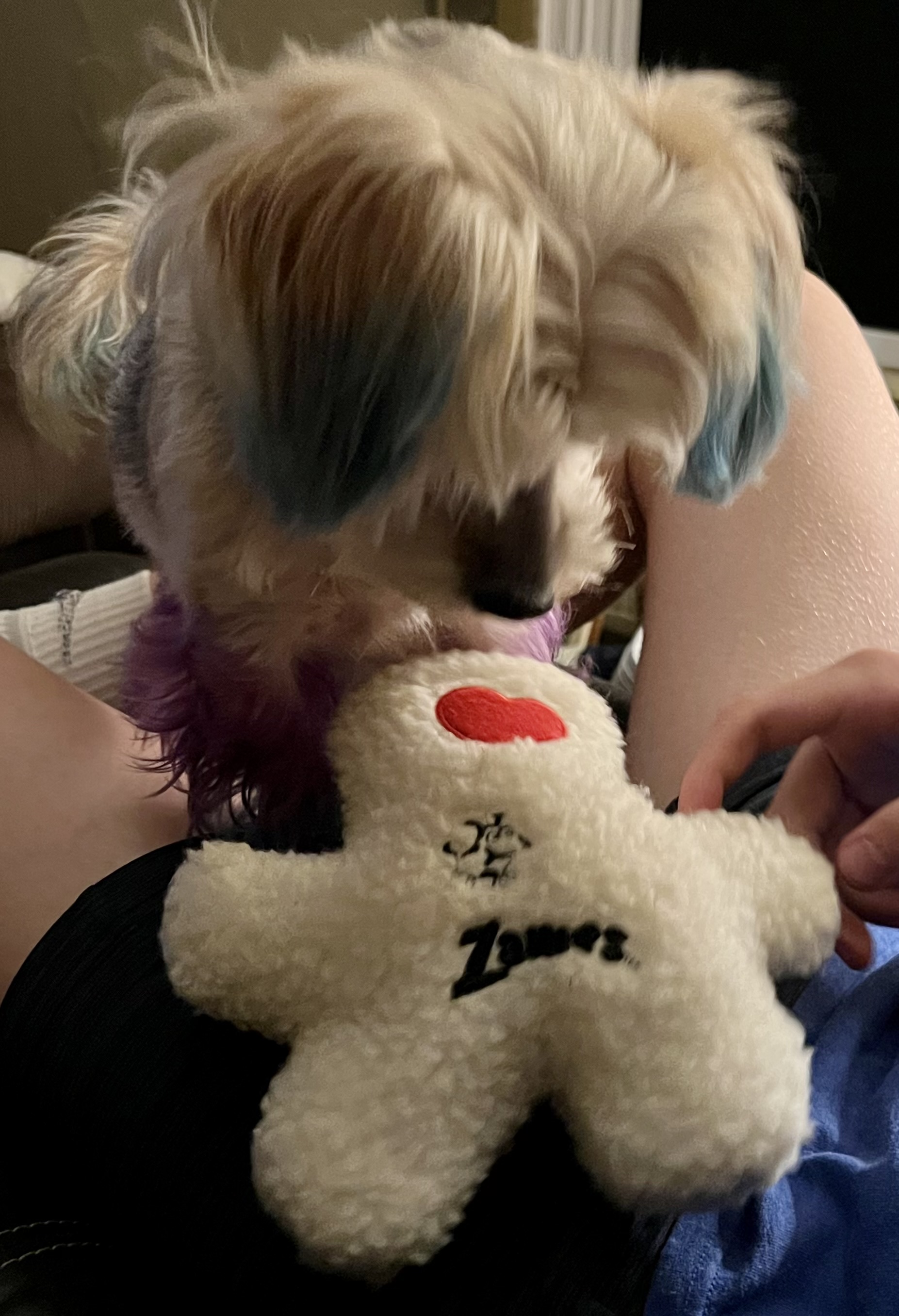 Zanies Embroidered Berber Boys Dog Toy - White - Review Image 3