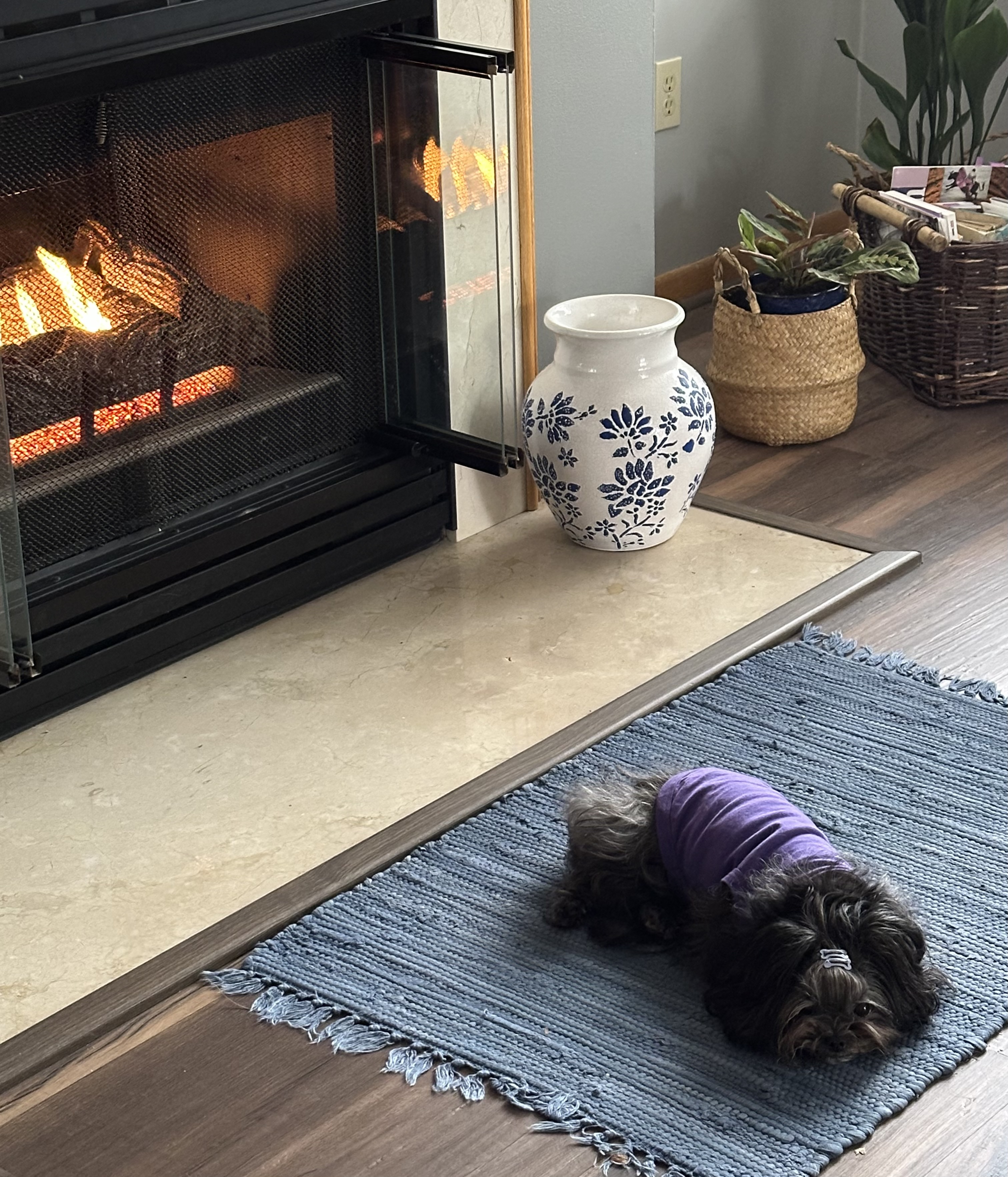 Cotton Dog Tank by Doggie Design - Ultra Violet - Review Image 1