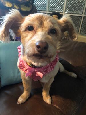 Maggie