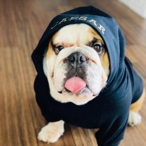 Caesar