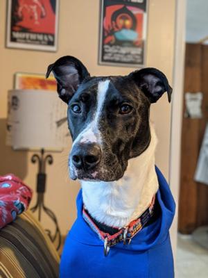 Seamus