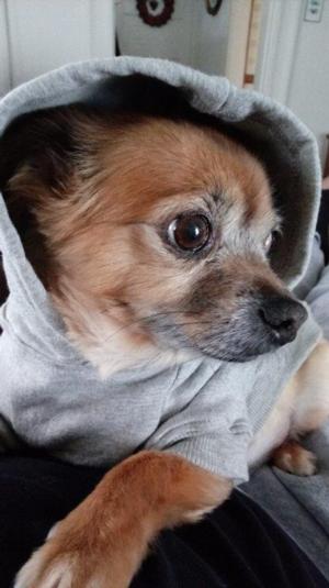 Yoda