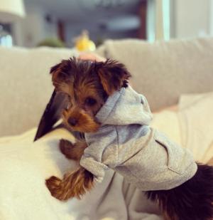 Oliver