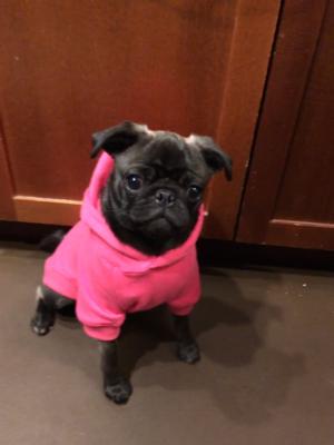 Lila