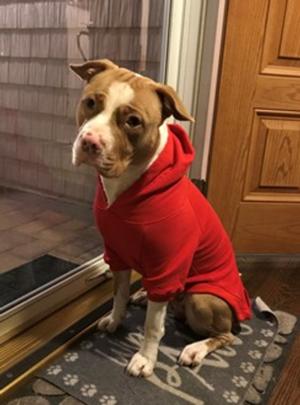 Kona