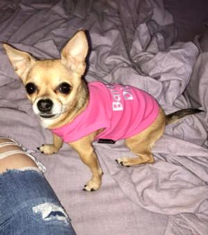 Rosie 