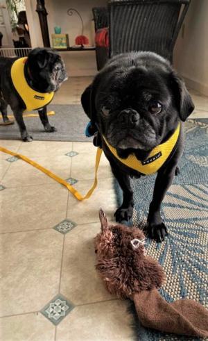 Otis and Betsy