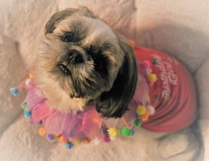 Abbie