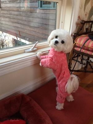 Tahlulah 