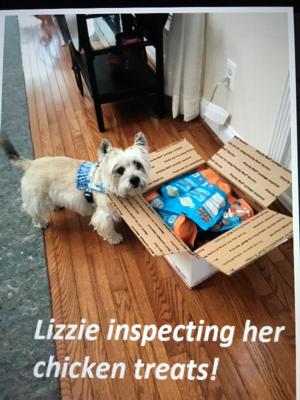 Lizzie