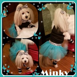 Minky