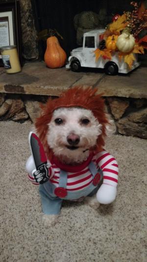 Max