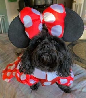 Lola