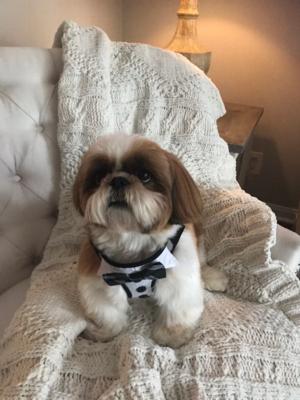 Chewy