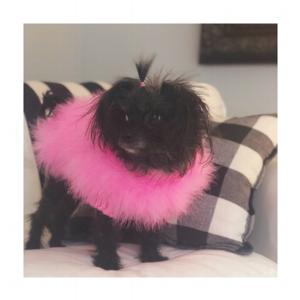 Coco Chanel