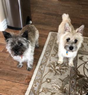 Ginger and Scotty