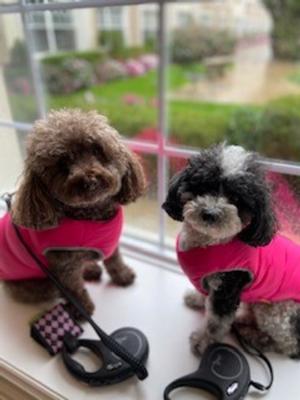 Bella & Luna