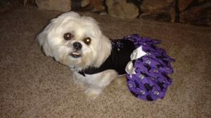Zoey