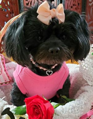 Ruby