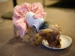 Belle Cinderella