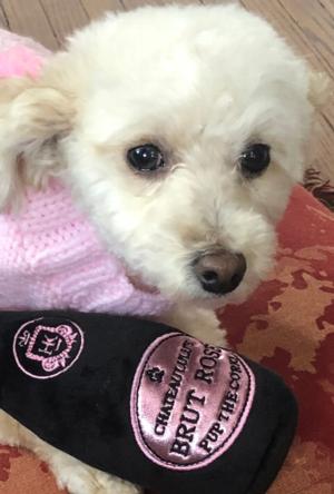 LUCY