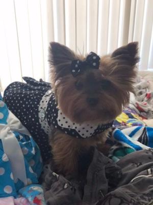 Bonnie 