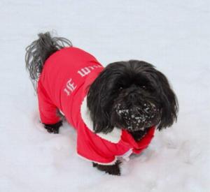 Lola