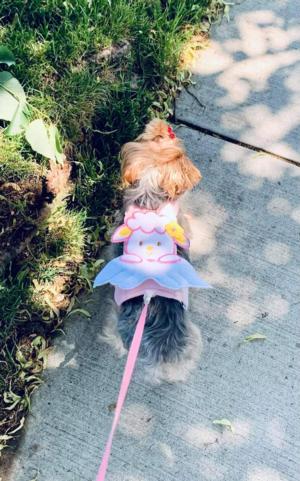 Belle